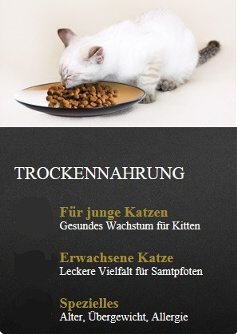 Katzen Trockennahrung