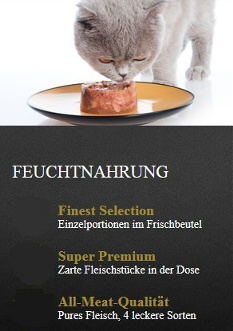 Katzen Feuchtnahrung